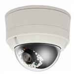 H.264/MJPEG Vandal Dome Network Camera, FW-1175-MV