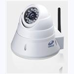 H.264 Sony CCD IR MINI Dome Wireless IP Camera