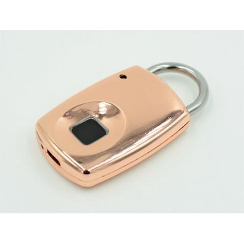 fingerprint lock ZKF-001