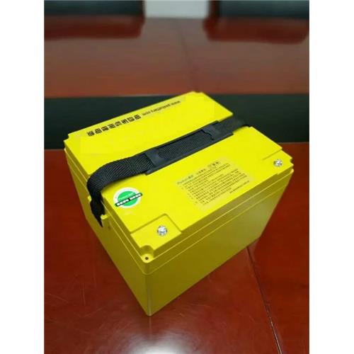 Perfect Replacement Battery 48V 30Ah for Lead-Acid Battery