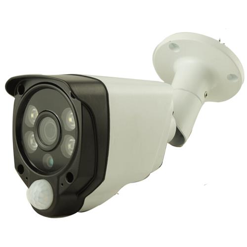 1080P PIR network camera with Dual alarming detection function