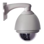 Sino Network Camera