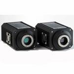 FaliTec Lowlight Cameras