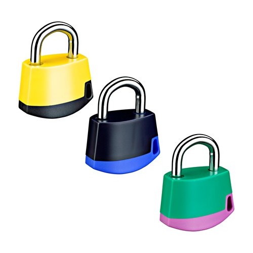 Assa Abloy Padlock PL318C