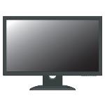 VICON Widescreen LED Monitors