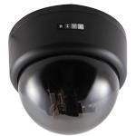 RIVA RC100-5100 fixed mini IP dome