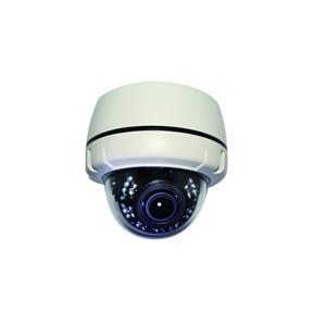 Altasec NCD2112 2MP Full HD Indoor Dome PoE Network Camera