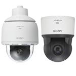 Sony W Series Rapid Dome Network Full HD/HD Cameras