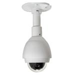 Foresight FST-NHY10L5  External Standard IP High Speed Mini Dome Camera