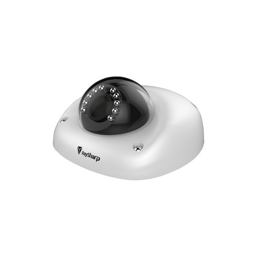 Raysharp 2MP/3MP/4MP MINI DOME HD IPC