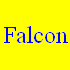 Falcon Security Systems