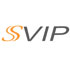 Security VIP Global Technology Group Ltd.
