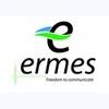 ERMES ELETTRONICA s.r.l.