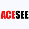 ACESEE security limited