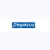 Pegasus equipments export limited