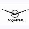Shanghai Angel DP Co., Ltd